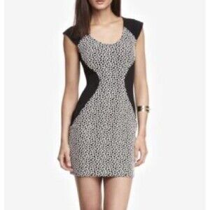 Express Giraffe Print Dress